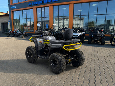 2026 Bison ATV 250F, серебристый, 149200 рублей, вид 4