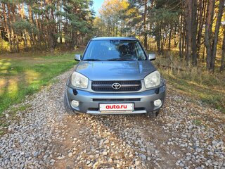 2004 Toyota RAV4 II (XA20) Рестайлинг, зелёный, 850000 рублей, вид 3