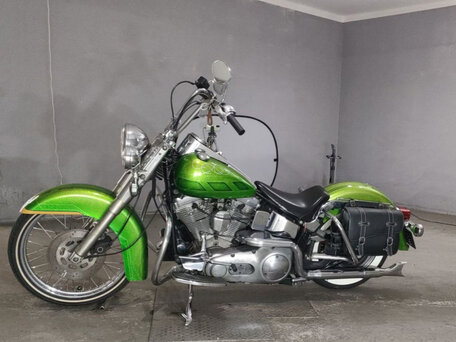 1989 Harley-Davidson Softail Custom, зелёный, 598000 рублей, вид 2