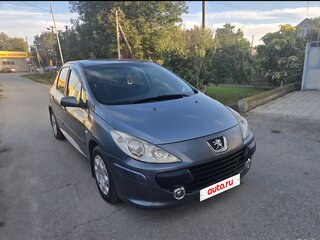 2006 Peugeot 307 I Рестайлинг, серый, 295000 рублей, вид 4