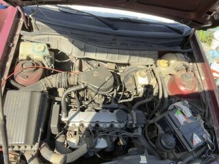 1994 Opel Astra F, красный, 100000 рублей, вид 5