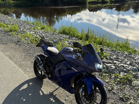 2010 Kawasaki Ninja 250R, синий, 280000 рублей, вид 2