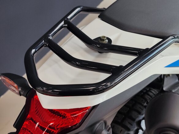 2026 Loncin DS250, белый, 258000 рублей - вид 13