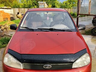 2009 Lada (ВАЗ) Kalina I, красный, 330000 рублей, вид 2