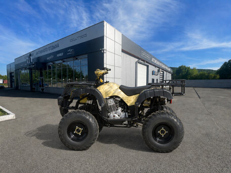 2026 Motoland ATV 250 Adventure, бежевый, 173200 рублей, вид 2