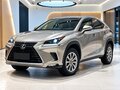2021 Lexus NX 200 II, серый, 3980000 рублей
