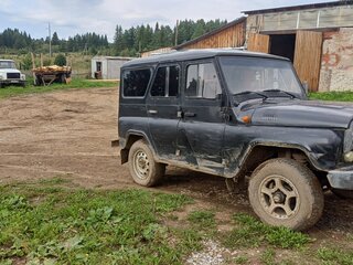 2006 УАЗ 3151 31519, чёрный, 250000 рублей, вид 4