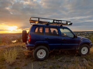 2008 Chevrolet Niva I, синий, 350000 рублей, вид 3