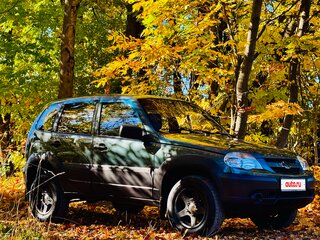 2015 Chevrolet Niva I Рестайлинг, серый, 565000 рублей, вид 1