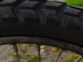 2023 Regulmoto TE 250 PR, зелёный, 125000 рублей - вид 4