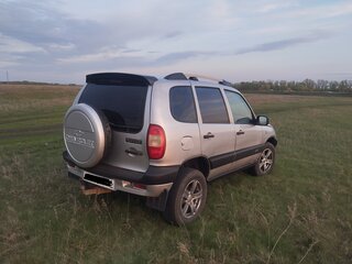 2004 Chevrolet Niva I, серебристый, 280000 рублей, вид 4