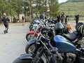 2018 Harley-Davidson Sportster 1200, чёрный, 1350000 рублей - вид 3