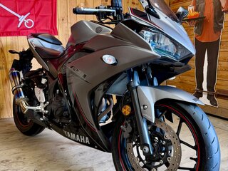 2015 Yamaha YZF-R3, серый, 449000 рублей, вид 2