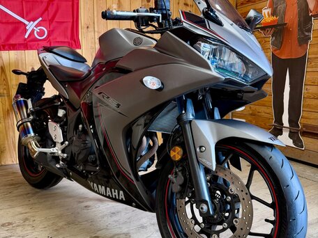 2015 Yamaha YZF-R3, серый, 449000 рублей, вид 2