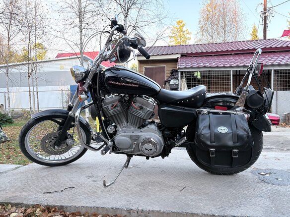 2005 Harley-Davidson Sportster 883, чёрный, 590000 рублей - вид 2