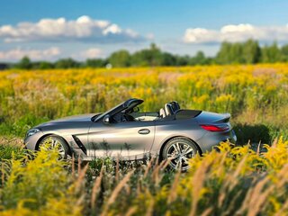 2019 BMW Z4 20i III (G29), серый, 4500000 рублей, вид 2