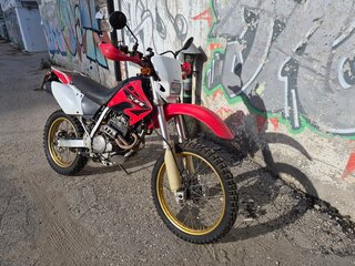 2004 Honda XR 250, красный, 435000 рублей, вид 1