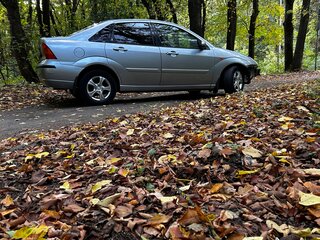 2004 Ford Focus I Рестайлинг, серый, 230000 рублей, вид 2