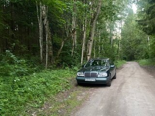 1994 Mercedes-Benz E-Класс 220 I (W124), зелёный, 320000 рублей, вид 1