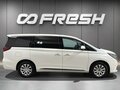 2020 GAC GN8 I, белый, 2550000 рублей - вид 4