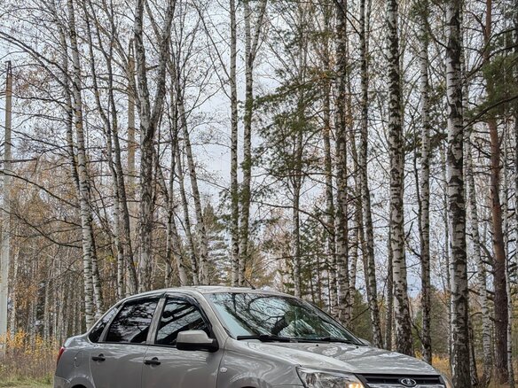 2014 Lada (ВАЗ) Granta I, серебристый, 335000 рублей - вид 1