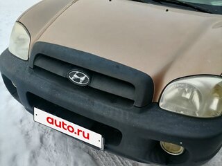 2001 Hyundai Santa Fe I, бежевый, 300000 рублей, вид 3