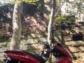 2010 Honda PCX 125, красный, 210000 рублей - вид 10
