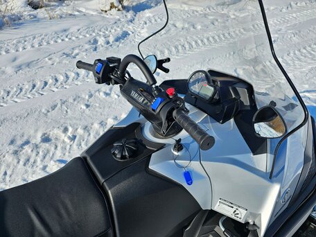 2019 Yamaha VK Professional, серый, 2350000 рублей, вид 5