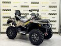 2026 Stels ATV-800 Guepard Trophy, бежевый - вид 6