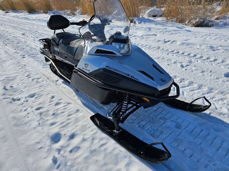 2019 Yamaha VK Professional, серый, 2350000 рублей, вид 1