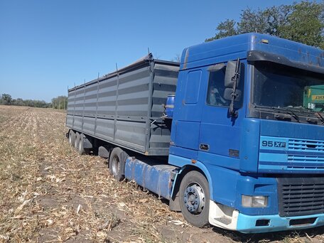 1998 DAF 95XF, синий, 1400000 рублей, вид 2
