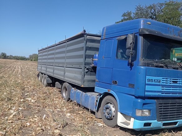 1998 DAF 95XF, синий, 1400000 рублей - вид 1