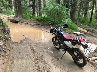 2007 Suzuki Djebel 250, чёрный, 315000 рублей, вид 4