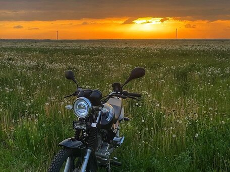 2023 Regulmoto SK200, чёрный, 80000 рублей, вид 2