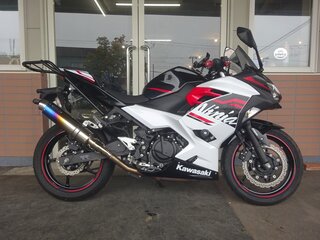 2019 Kawasaki Ninja 400, белый, 613000 рублей, вид 1