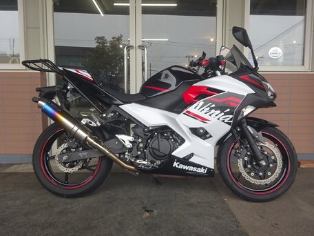 2019 Kawasaki Ninja 400, белый, 613000 рублей, вид 1