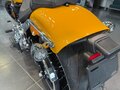 2025 Harley-Davidson Breakout, жёлтый, 3050000 рублей - вид 9