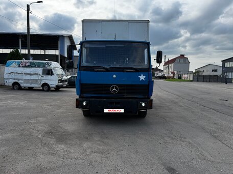 1993 Mercedes-Benz 817, синий, 720000 рублей, вид 2
