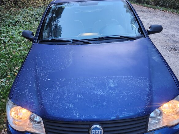 2007 Fiat Albea I Рестайлинг, синий - вид 2