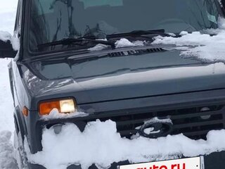 2020 Lada (ВАЗ) 2121 (4x4) Urban I Рестайлинг (2020), серый, 815000 рублей, вид 2