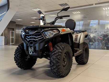 2026 Loncin XWolf 300 Max, серый, 485000 рублей, вид 3