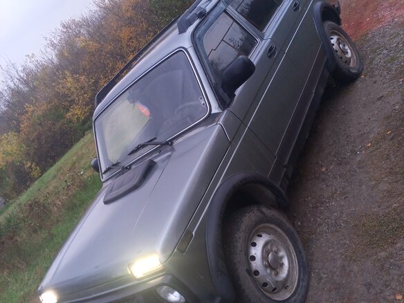 2012 Lada (ВАЗ) 2131 (4x4) 213105 I, серый, 325000 рублей - вид 2