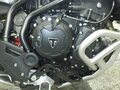 2025 Triumph Tiger 900, серый, 1300000 рублей - вид 6