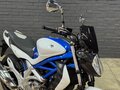 2010 Suzuki SFV 650 Gladius, синий, 515000 рублей - вид 6