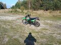2023 Racer Panther, зелёный, 115000 рублей