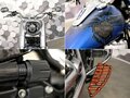 2018 Harley-Davidson Fat Boy, синий, 1757000 рублей - вид 9