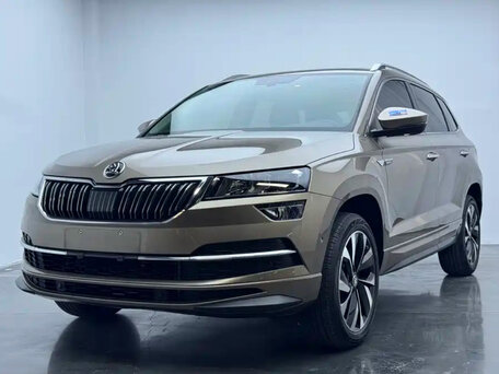 2022 Skoda Karoq DSG7 I, бежевый, 2400000 рублей, вид 1