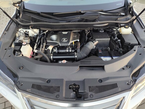 2019 Lexus RX 300 IV, белый, 3975000 рублей - вид 9