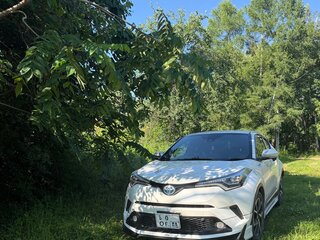 2017 Toyota C-HR I, белый, 1605000 рублей, вид 1