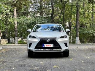 2020 Lexus NX 200 I Рестайлинг, белый, 3050002 рублей, вид 2